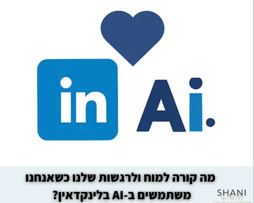 עיצוב לינקרס