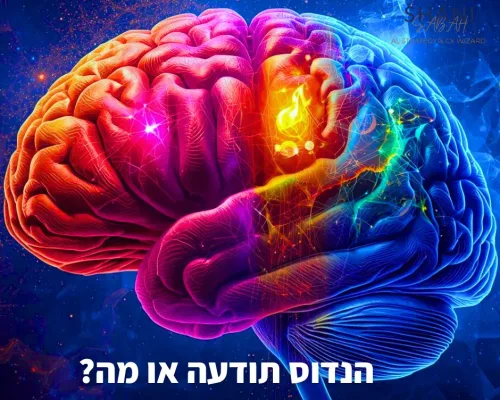 הנדוס מעוצב