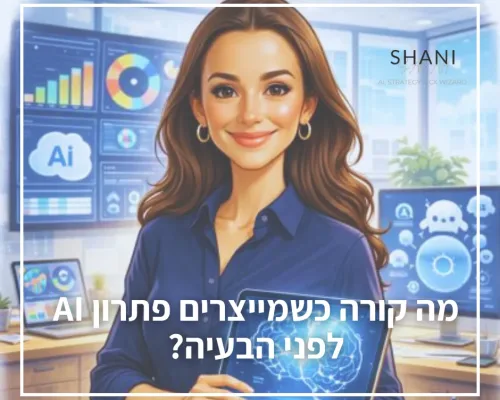 עיצוב פתרון